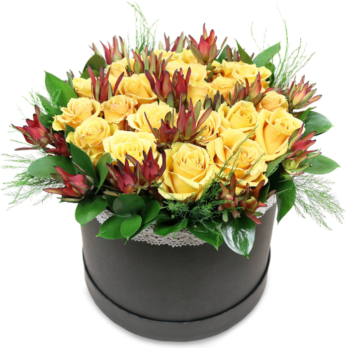 0009_Box_Sunshine-900x900.jpg