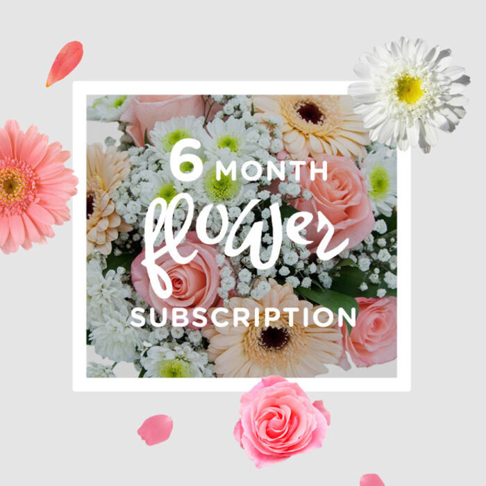 6-month-2.jpg