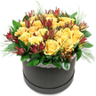 0009_Box_Sunshine-900x900.jpg