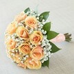 2.1IMG_3100-900x900.jpg