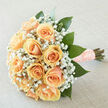 2.1IMG_3100.jpg