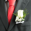 4-11.IMG_3542.jpg